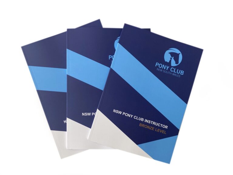 Bronze Instructor’s Certificate